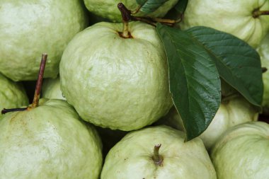 Guava