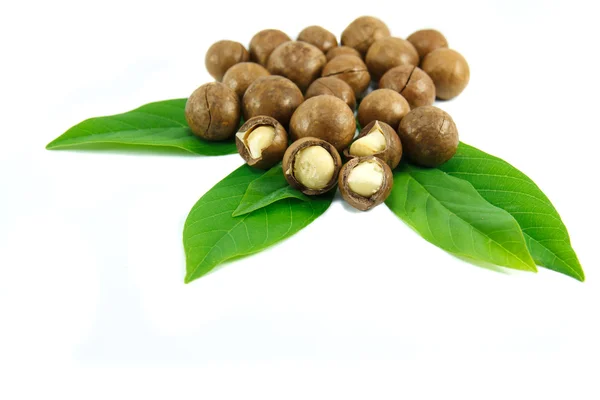 Macadamia Nuts — Stock Photo, Image