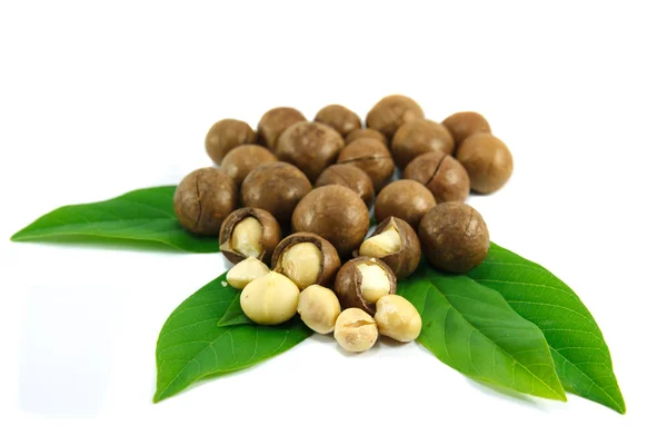 Macadamia noten — Stockfoto