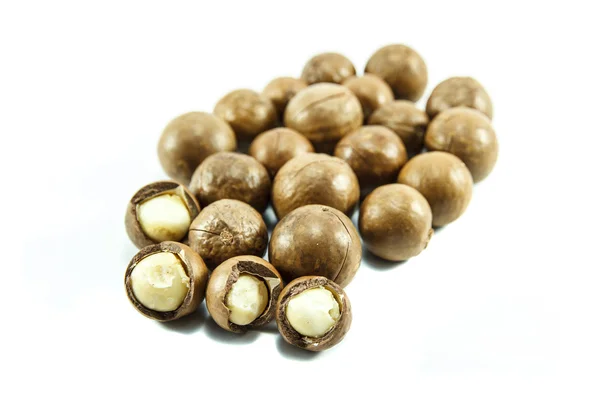 Kacang Macadamia — Stok Foto