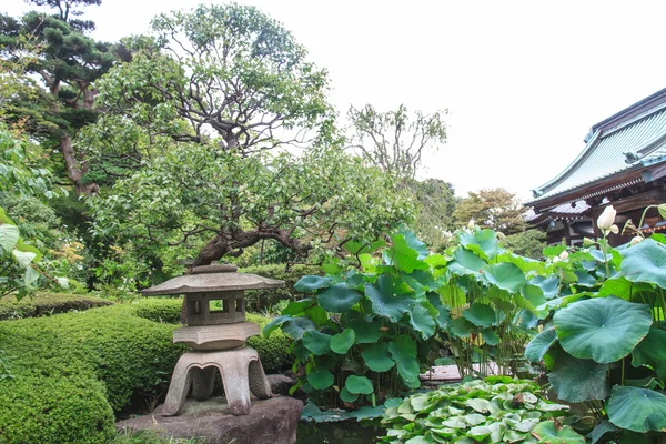 Japanse stijl tuin — Stockfoto