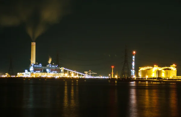 Planten van de zee — Stockfoto