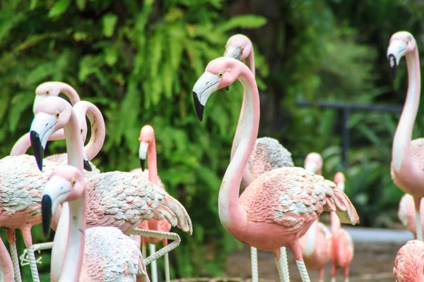 Statue de flamant rose — Photo