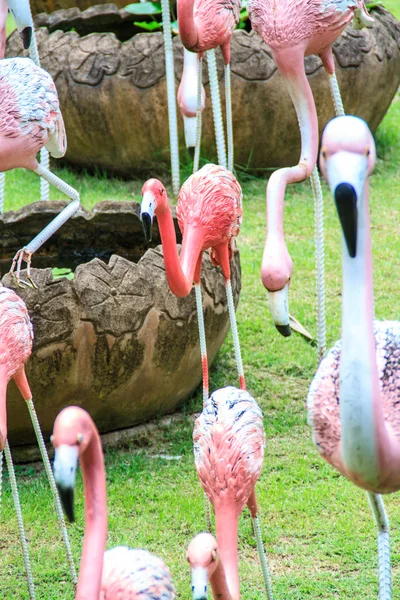 Statue de flamant rose — Photo