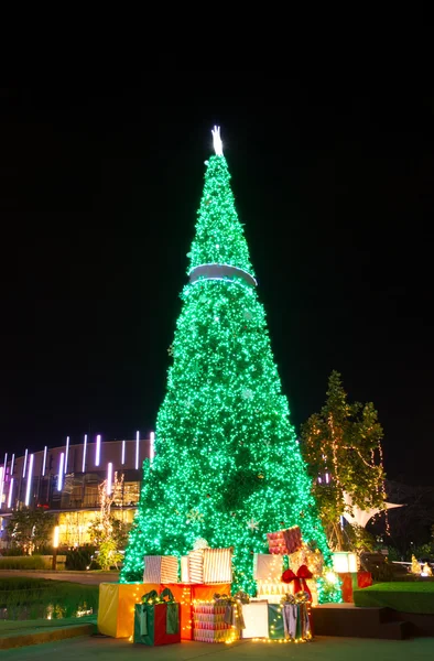 Árvore Natal — Fotografia de Stock