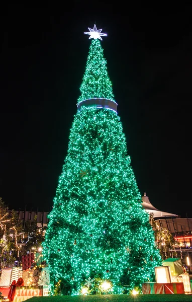 Weihnachtsbaum — Stockfoto