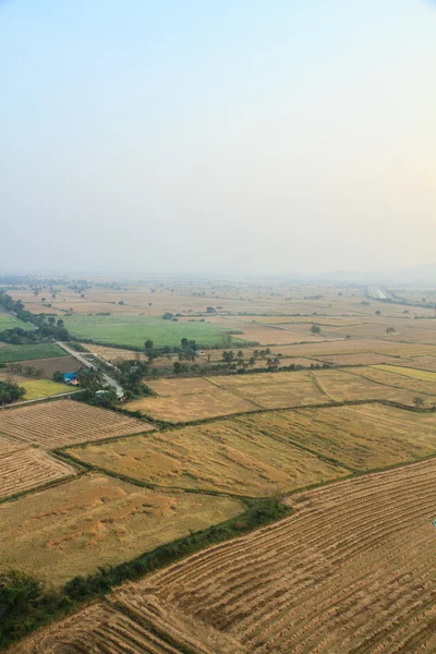 Large field — Stock Photo, Image