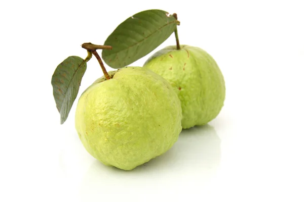 Guava — Stock Photo, Image