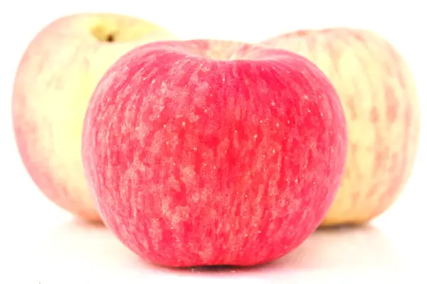 Manzana — Foto de Stock