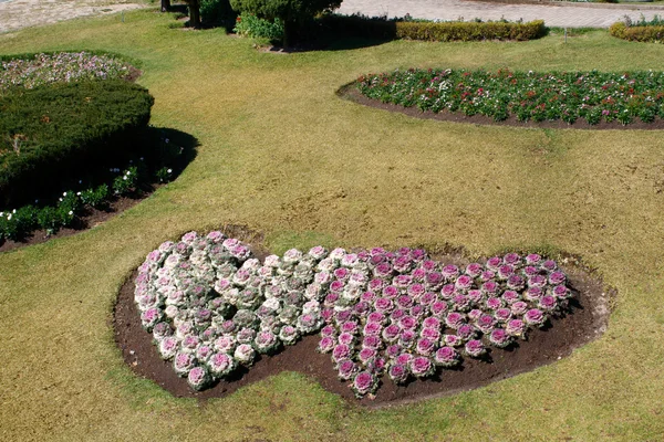 Corazón en tierra — Foto de Stock