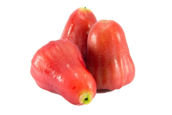 Růžové jablko — Stock fotografie