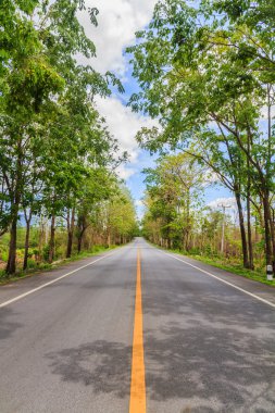 yol kırsal