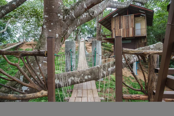 Árbol grande — Foto de Stock