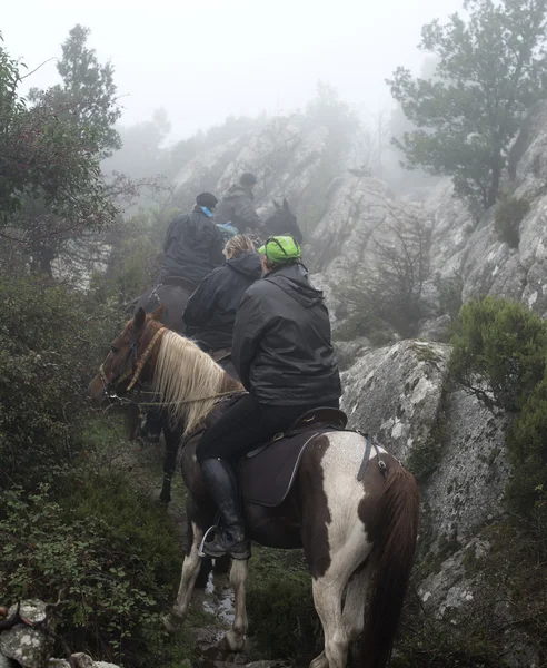 Insan at puslu bir ormanda ridding. — Stok fotoğraf