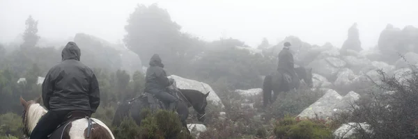 Люди скачут в туманном лесу — стоковое фото
