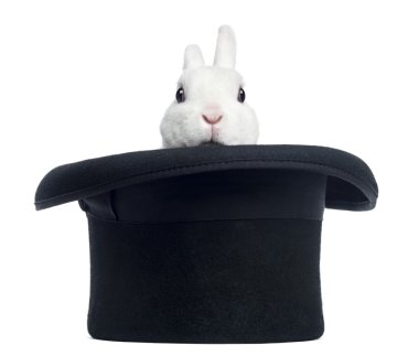 Mini rex rabbit appearing from a top hat, isolated on white clipart