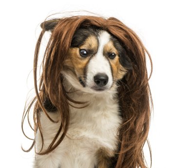 kenar kömür ocağı ile üzerine beyaz izole bir peruk, yakın çekim