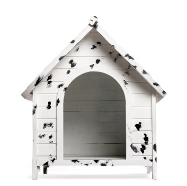 köpek kulübesi, üzerinde beyaz izole