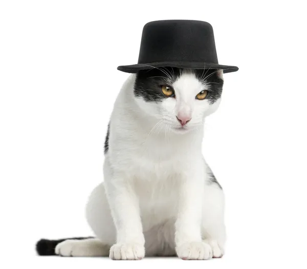 Europea gatito de taquigrafía con un sombrero de copa, sentado, 4 meses o — Foto de Stock