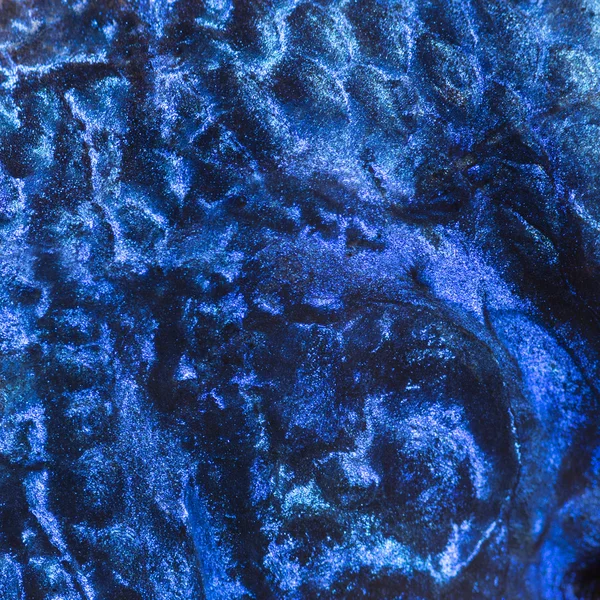 Makro av en elektrisk blå hap hud, sciaenochromis ahli — Stockfoto