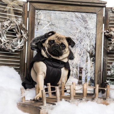 pug Köprüsü'nde bakarak bir kış manzarası oturmuş giyinip