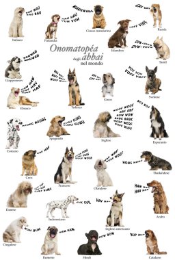 Yansımaları dünyanın İtalyanca havlayan köpek bileşimi