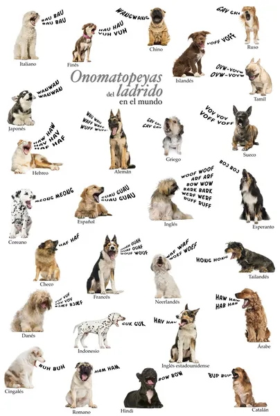 Composición de onomatopeyas ladradoras de perros del mundo, Español — Foto de Stock