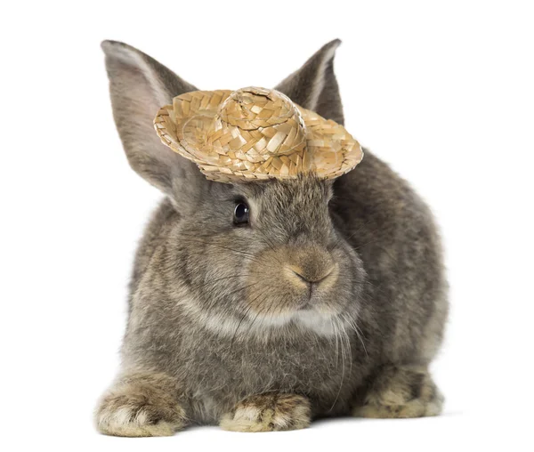 Rabbit wearing a straw hat, isolated on white — Stock Photo, Image