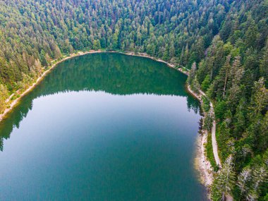 Orman, Voges, La Bresse ve Lake Crows ile çevrili Lac des Corbeaux 'nun hava manzarası.
