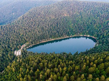 Orman, Voges, La Bresse ve Lake Crows ile çevrili Lac des Corbeaux 'nun hava manzarası.