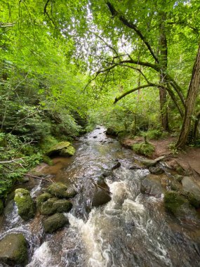 Monne Nehri Boğazı 'ndaki Ribeyrolles Köprüsü yeşil ormandaki Puy-de-Dome, Auvergne