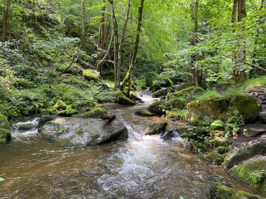 Monne Nehri Boğazı 'ndaki Ribeyrolles Köprüsü yeşil ormandaki Puy-de-Dome, Auvergne