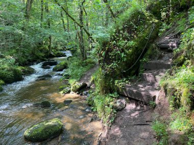 Monne Nehri Boğazı 'ndaki Ribeyrolles Köprüsü yeşil ormandaki Puy-de-Dome, Auvergne