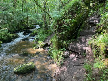Monne Nehri Boğazı 'ndaki Ribeyrolles Köprüsü yeşil ormandaki Puy-de-Dome, Auvergne
