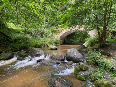 Monne Nehri Boğazı 'ndaki Ribeyrolles Köprüsü yeşil ormandaki Puy-de-Dome, Auvergne