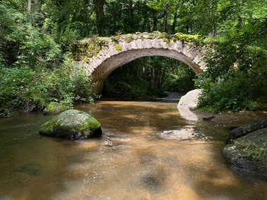 Monne Nehri Boğazı 'ndaki Ribeyrolles Köprüsü yeşil ormandaki Puy-de-Dome, Auvergne