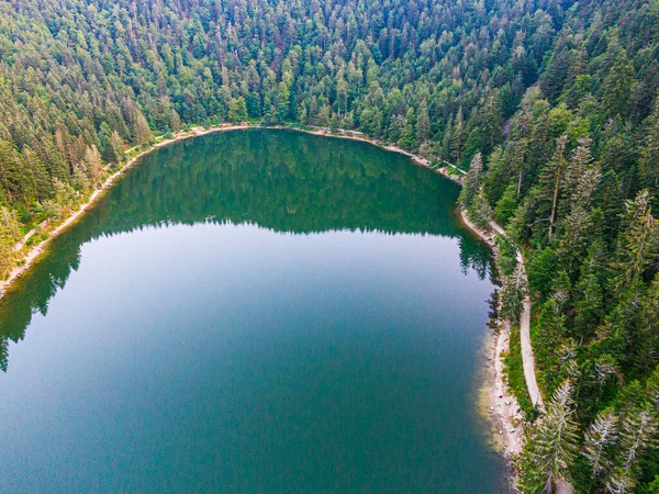 环绕着森林 Voges Bresse Lake Crows的Corbeaux湖的空中景观 — 图库照片