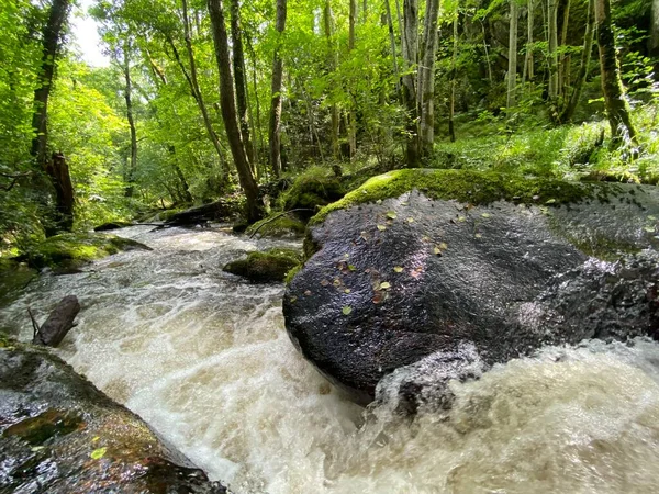 Auvergne Puy Dome 绿林中的Monne河峡谷里的Ribeyrolles桥 — 图库照片