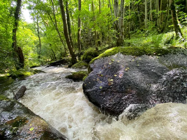 Auvergne Puy Dome 绿林中的Monne河峡谷里的Ribeyrolles桥 — 图库照片