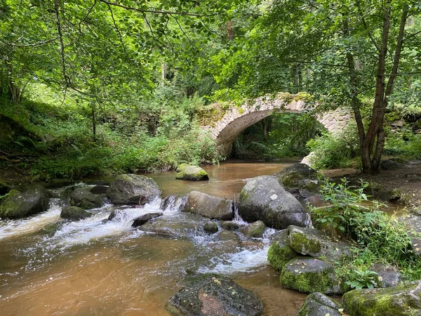 Auvergne Puy Dome 绿林中的Monne河峡谷里的Ribeyrolles桥 — 图库照片