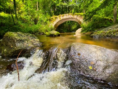 Narlay Gölü 'nde tanınmayan bir kişi yüzüyor. Le Frasnois, Bourgogne-Franche-Comte, Jura.