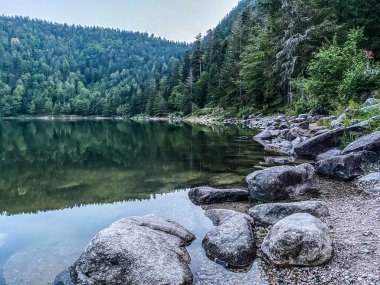 Lac des Corbeaux Banks, La Bresse, Vosges, Fransa
