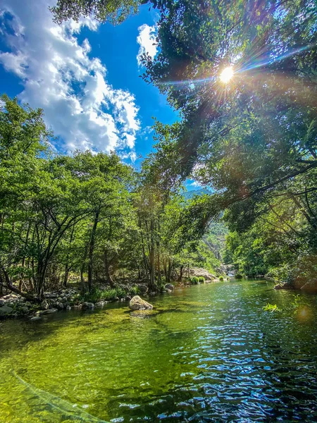 Rio Chassezac Árvores Céu Azul Durante Verão — Fotografia de Stock