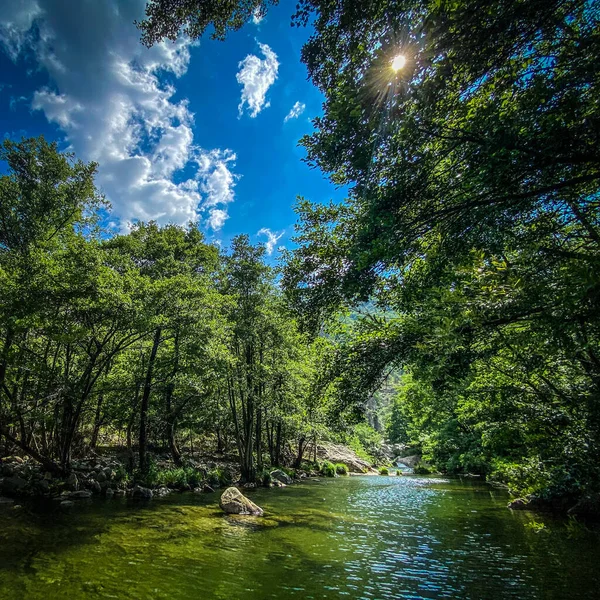 Řeka Chassezac Stromy Modrá Obloha Během Léta — Stock fotografie