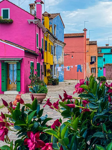 Vista Borrosa Las Coloridas Casas Burano Con Flores Decorativas Primer — Foto de Stock