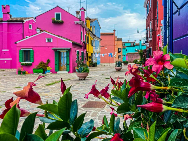 Vista Turva Burano Casas Coloridas Com Flores Decorativas Primeiro Plano — Fotografia de Stock