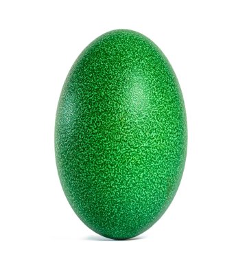 Çift gagalı, yeşil ve dokulu Cassowary yumurtası