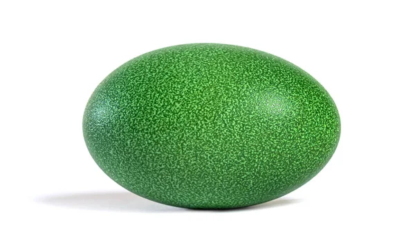 Double Wattled Cassowary Egg Green Textured — Stock Photo, Image