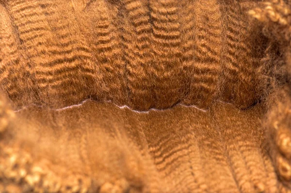 拡散のクローズアップダークブラウンの若いアルパカウールや繊維 ラマパコス — ストック写真