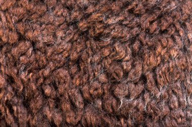 Gül grisi, genç alpaka yünü ya da lif Lama Pacos.